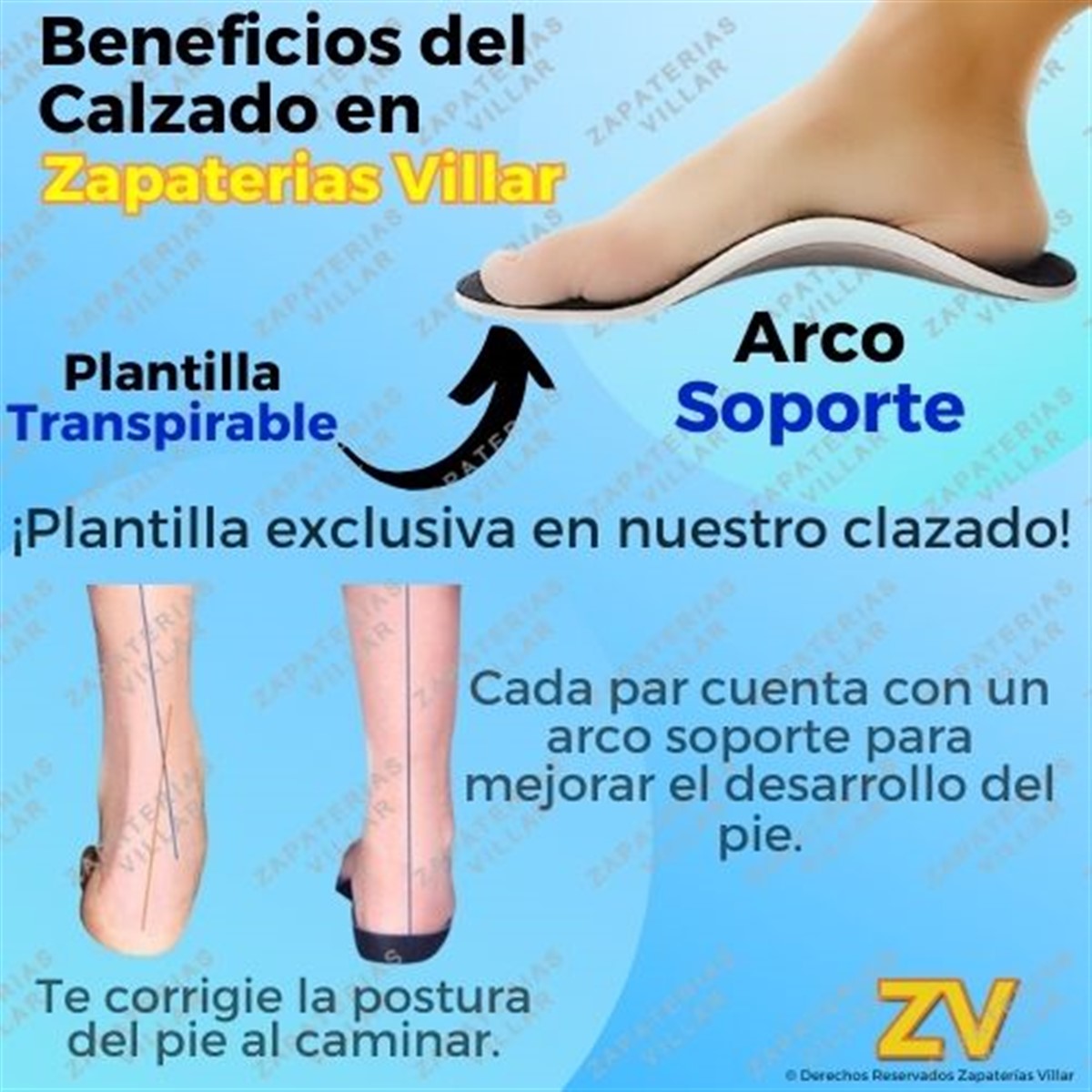 Zapato Niña Escolar Arco Soporte Cómodo Flats Cleo 12-390-N